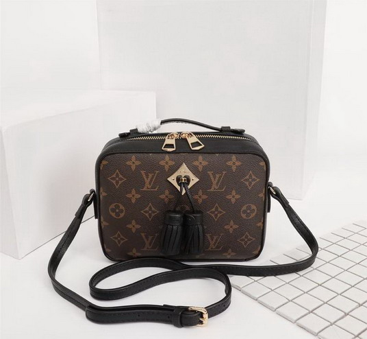 Lu bags 2020-10-28-463